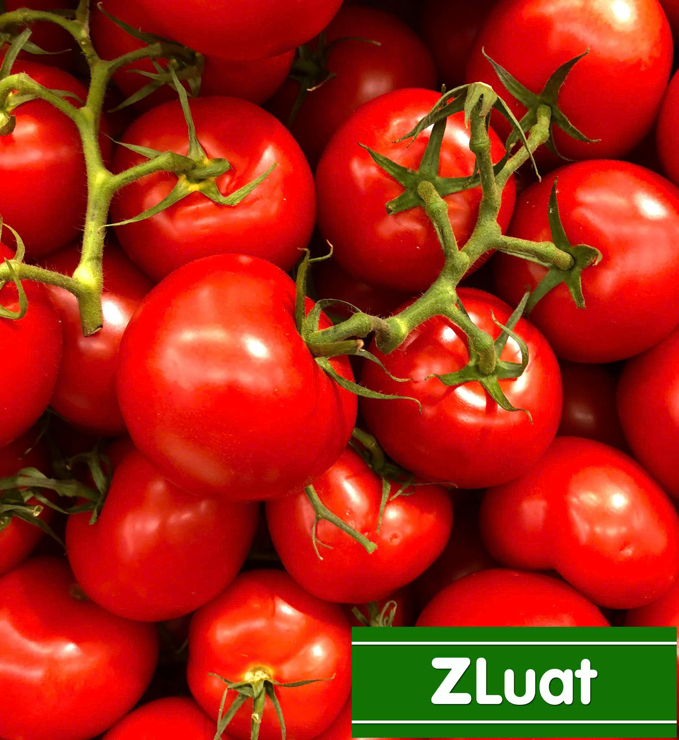 Crafting Captivating Headlines: Your awesome post title goes here 2 0b24cad3e454500a09457